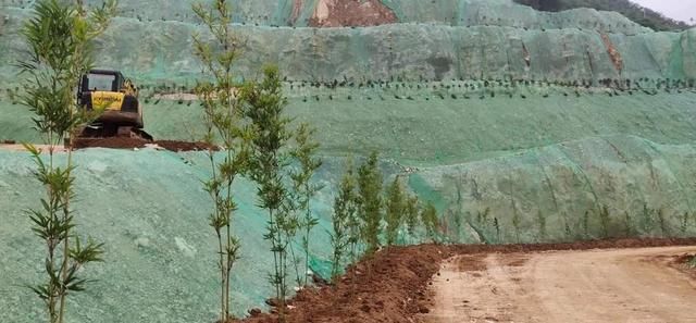 鋁蜂窩板可以在地下室裝修么